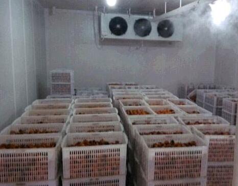 鄭州保鮮與水產(chǎn)冷庫出租租賃指南 品質(zhì)存儲讓商機(jī)恒溫