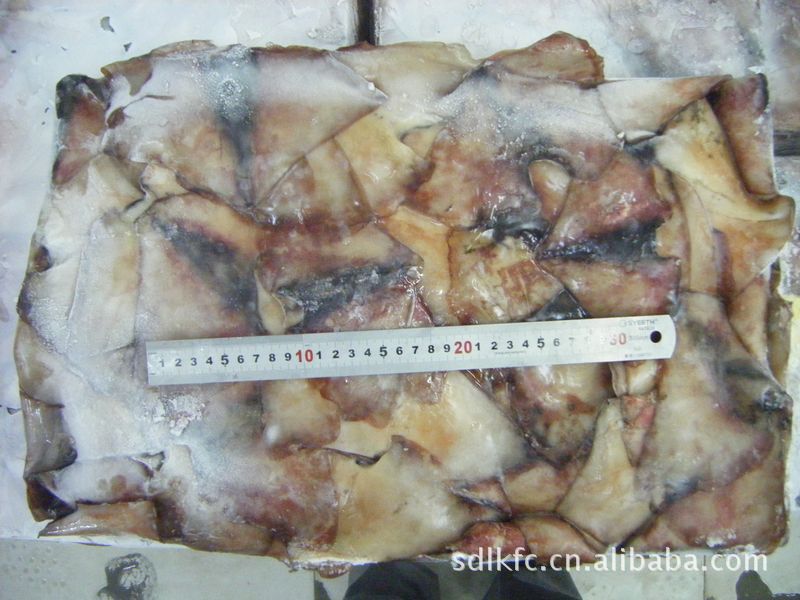 【魷魚耳/冷凍魚耳/生魷魚耳/凍鮮魷魚耳】價格,廠家,圖片,鮮活/冷凍水產,龍口市東方食品冷藏-